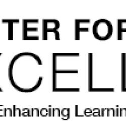 Center for Teaching Excellence